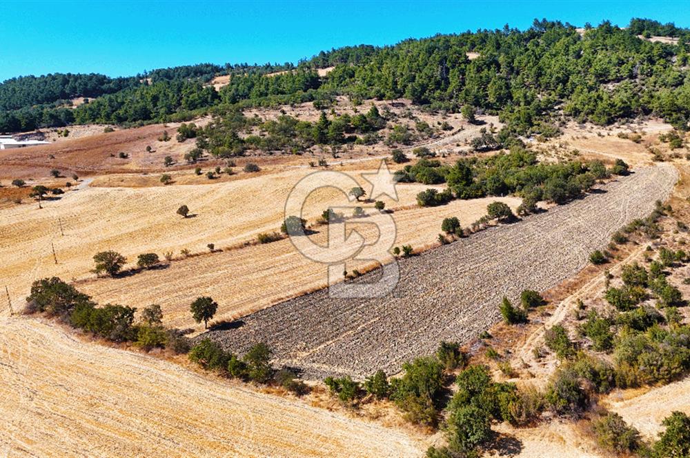 Lapseki Kangırlıda 9.168 m² Tarla | Yolu Olan, Uygun Konumda