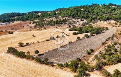 Lapseki Kangırlıda 9.168 m² Tarla | Yolu Olan, Uygun Konumda