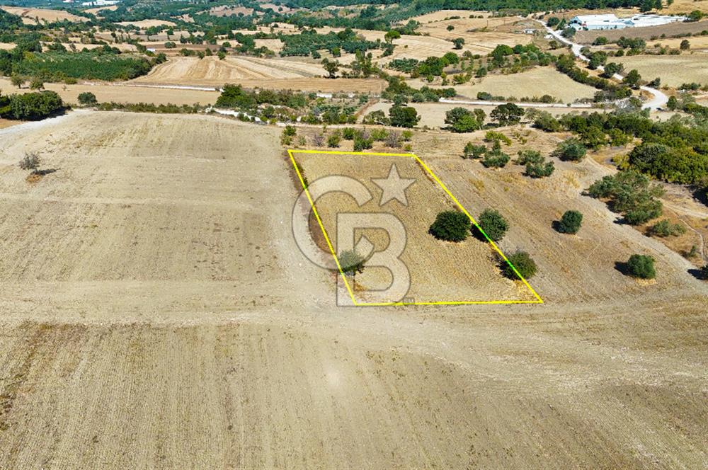 Kangırlı Köyünde 4.212 m² Tarla | Yatırım Fırsatı