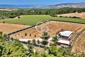 ÇANAKKALE MERKEZ ÇINARLI PRESTİJ 301 M2 TARLA