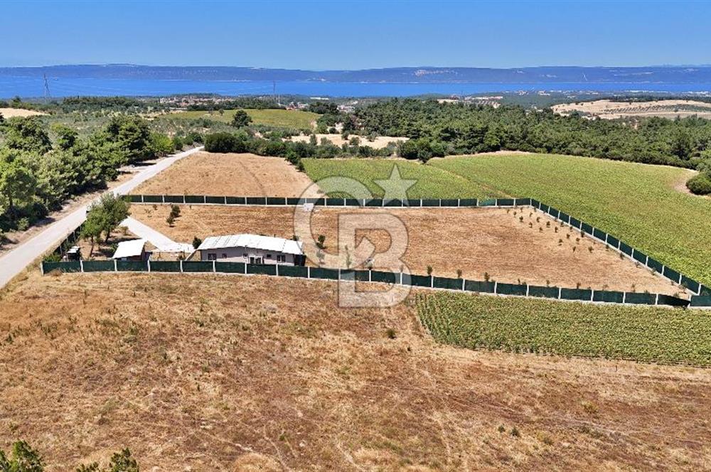 ÇANAKKALE MERKEZ ÇINARLI PRESTİJ 301 M2 TARLA
