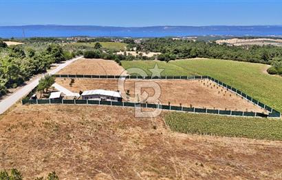 ÇANAKKALE MERKEZ ÇINARLI PRESTİJ 301 M2 TARLA