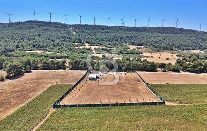ÇANAKKALE MERKEZ ÇINARLI PRESTİJ 301 M2 TARLA