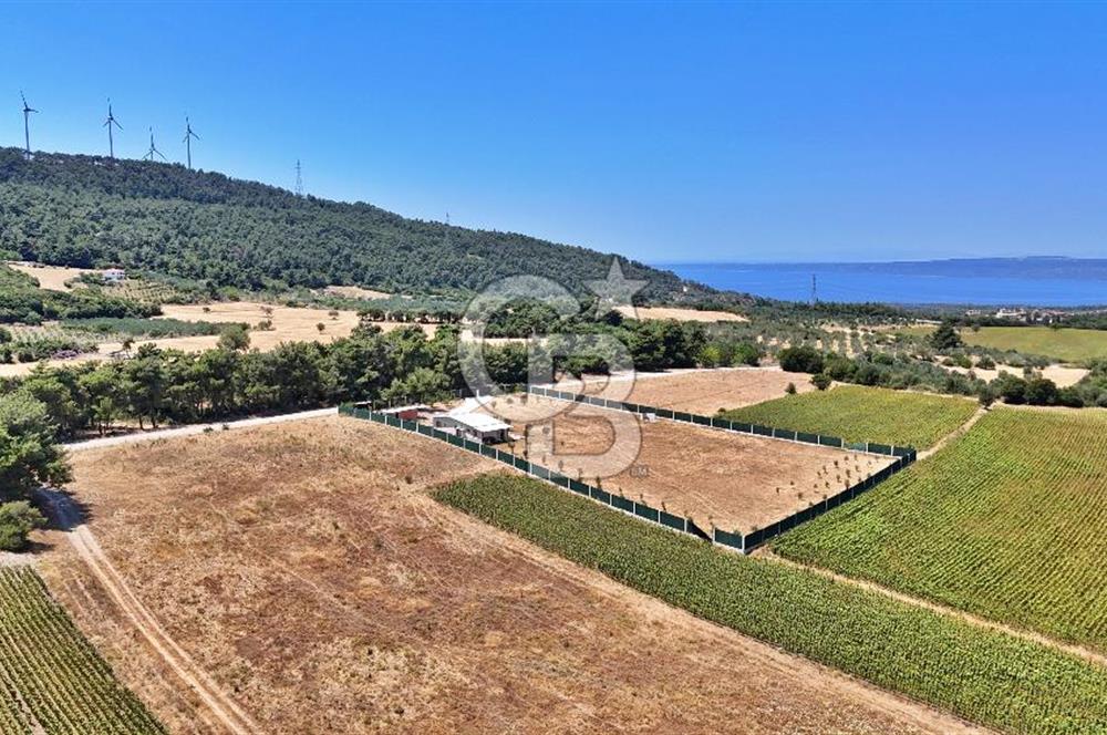 ÇANAKKALE MERKEZ ÇINARLI PRESTİJ 301 M2 TARLA