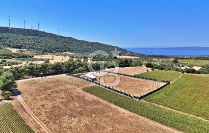 ÇANAKKALE MERKEZ ÇINARLI PRESTİJ 301 M2 TARLA