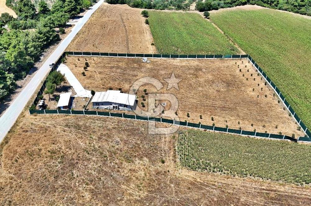 ÇANAKKALE MERKEZ ÇINARLI PRESTİJ 301 M2 TARLA
