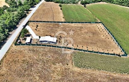 ÇANAKKALE MERKEZ ÇINARLI PRESTİJ 301 M2 TARLA