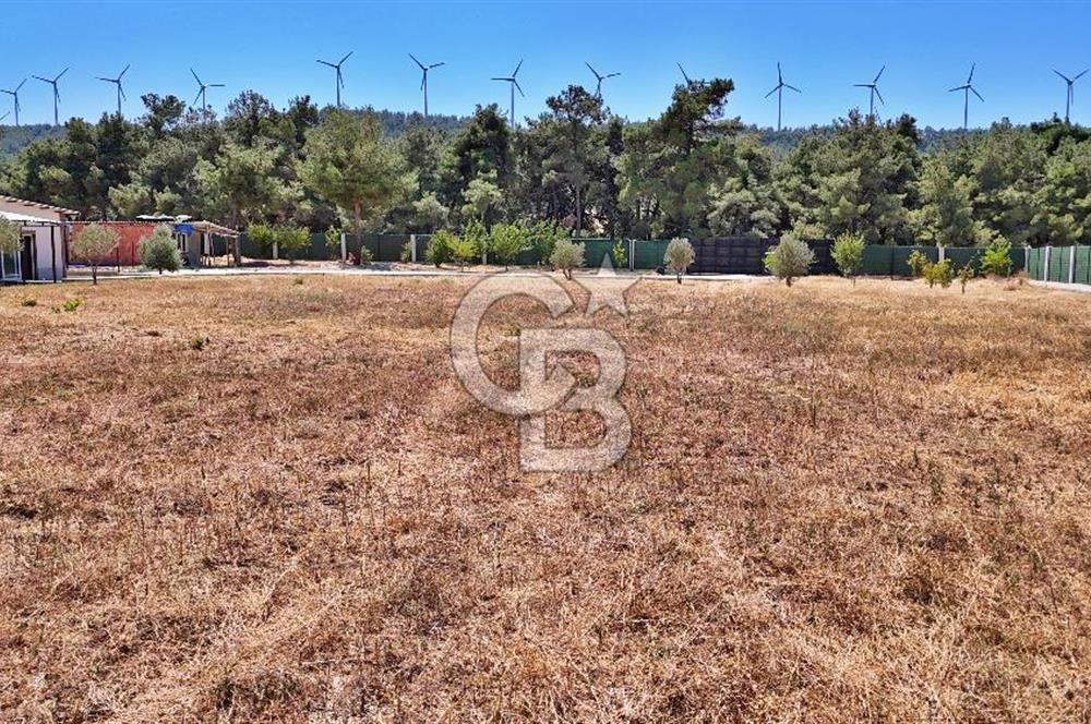 ÇANAKKALE MERKEZ ÇINARLI PRESTİJ 301 M2 TARLA