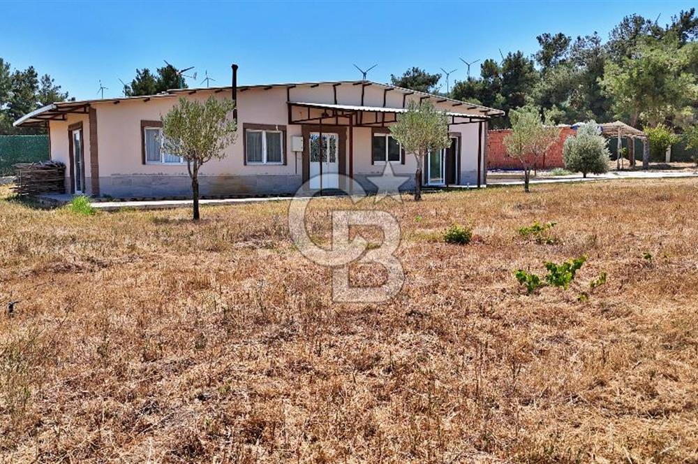 ÇANAKKALE MERKEZ ÇINARLI PRESTİJ 301 M2 TARLA