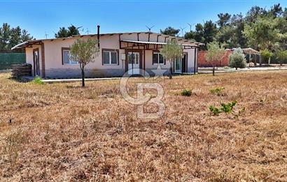 ÇANAKKALE MERKEZ ÇINARLI PRESTİJ 301 M2 TARLA