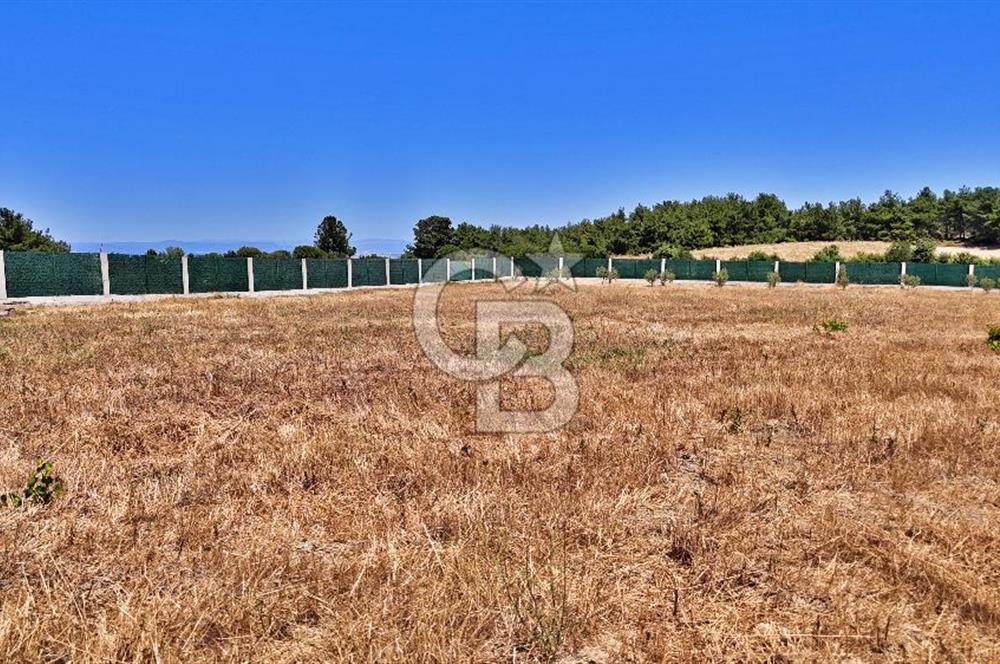 ÇANAKKALE MERKEZ ÇINARLI PRESTİJ 301 M2 TARLA