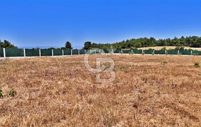 ÇANAKKALE MERKEZ ÇINARLI PRESTİJ 301 M2 TARLA
