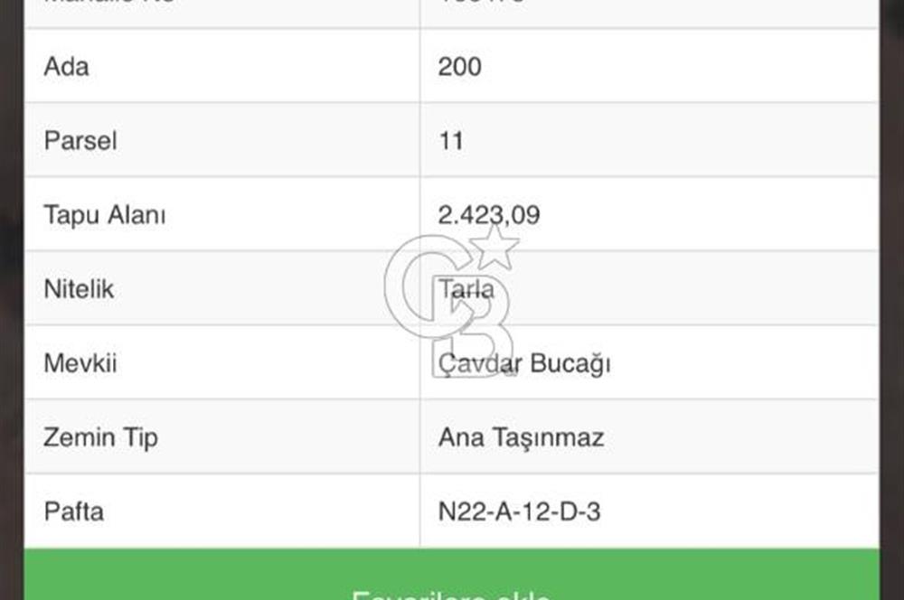 DENİZLİ TAVAS YORGA SATILIK TARLA