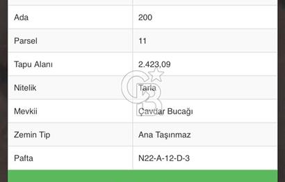 DENİZLİ TAVAS YORGA SATILIK TARLA