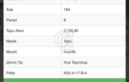 DENİZLİ TAVAS BALKICA'DA SATILIK TARLA