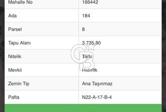 DENİZLİ TAVAS BALKICA'DA SATILIK TARLA