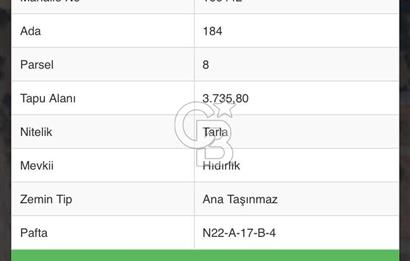 DENİZLİ TAVAS BALKICA'DA SATILIK TARLA