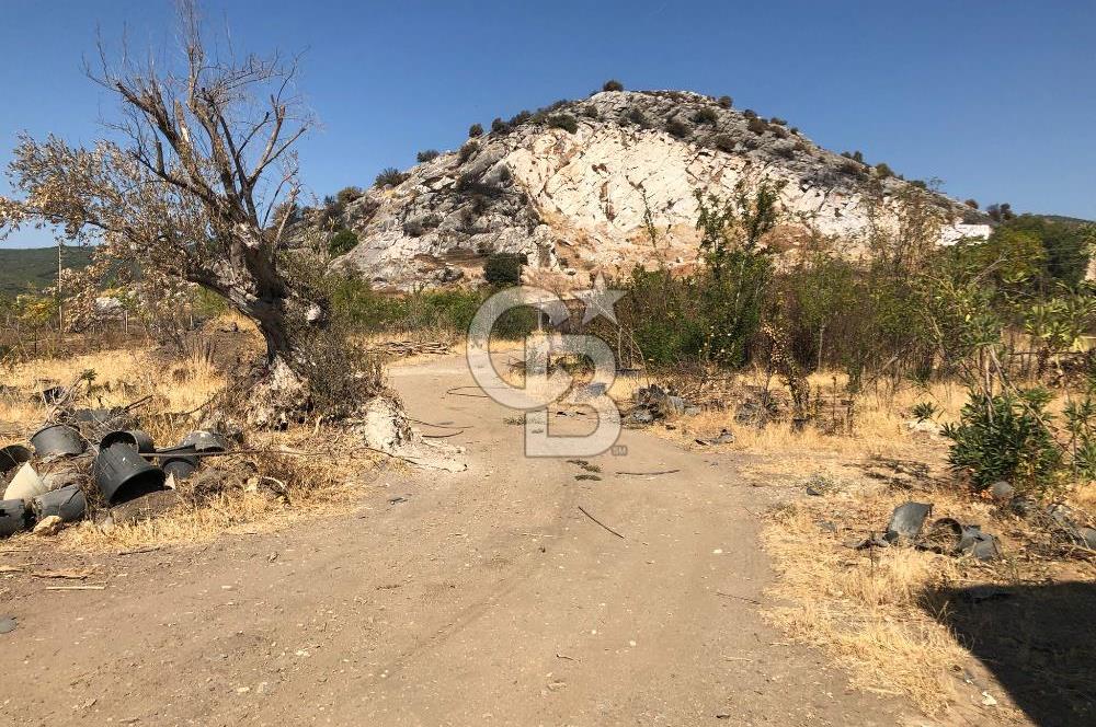 BAYINDIR ARIKBAŞI DA SATILIK 399 M2 İMARLI ARSA