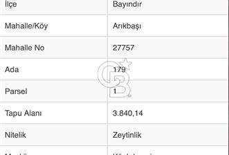 BAYINDIR ARIKBAŞI DA SATILIK 3840 M2 ZEYTİNLİK