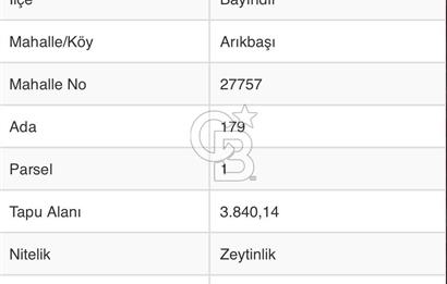BAYINDIR ARIKBAŞI DA SATILIK 3840 M2 ZEYTİNLİK