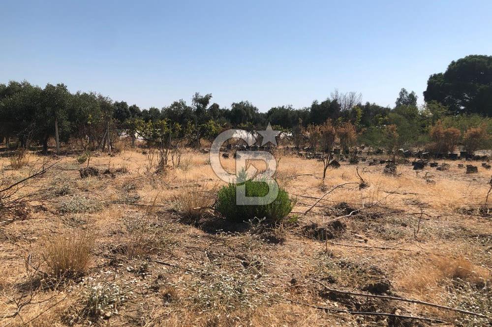 BAYINDIR ARIKBAŞI DA SATILIK 399 M2 İMARLI ARSA