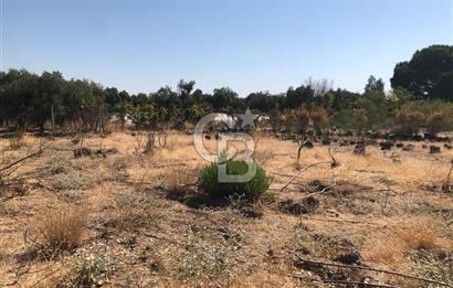 BAYINDIR ARIKBAŞI DA SATILIK 399 M2 İMARLI ARSA