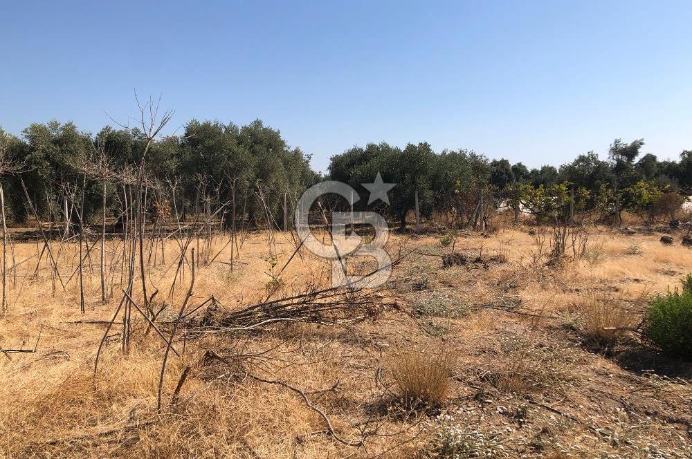 BAYINDIR ARIKBAŞI DA SATILIK 399 M2 İMARLI ARSA