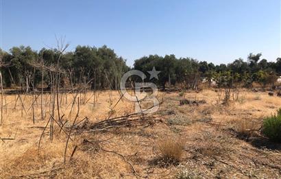 BAYINDIR ARIKBAŞI DA SATILIK 399 M2 İMARLI ARSA