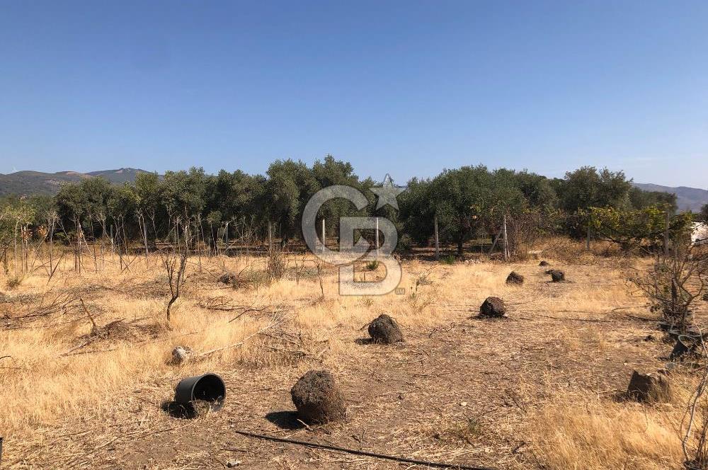 BAYINDIR ARIKBAŞI DA SATILIK 399 M2 İMARLI ARSA