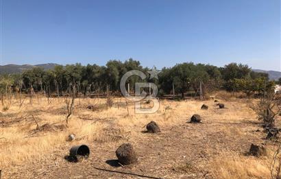 BAYINDIR ARIKBAŞI DA SATILIK 399 M2 İMARLI ARSA