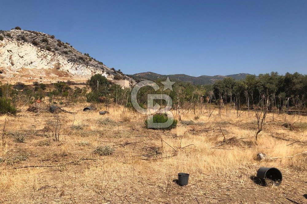 BAYINDIR ARIKBAŞI DA SATILIK 399 M2 İMARLI ARSA