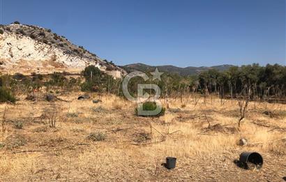 BAYINDIR ARIKBAŞI DA SATILIK 399 M2 İMARLI ARSA