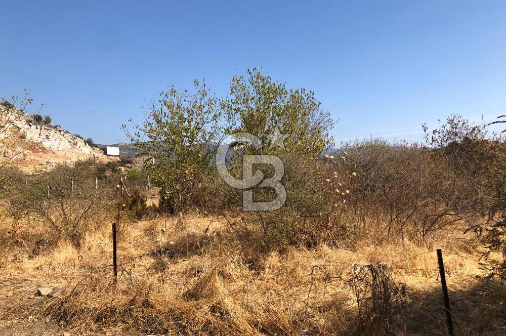 BAYINDIR ARIKBAŞI DA SATILIK 438 M2 İMARLI YOLA CEPHELİ ARSA