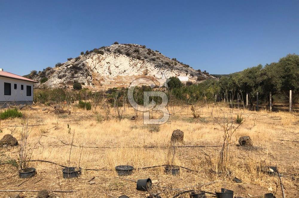 BAYINDIR ARIKBAŞI DA SATILIK 399 M2 İMARLI ARSA