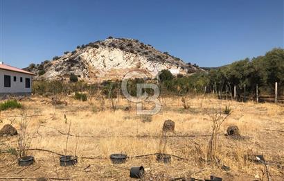 BAYINDIR ARIKBAŞI DA SATILIK 399 M2 İMARLI ARSA