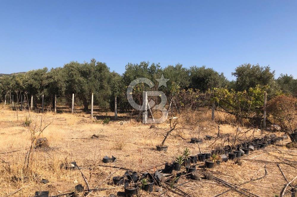 BAYINDIR ARIKBAŞI DA SATILIK 399 M2 İMARLI ARSA