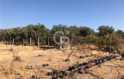 BAYINDIR ARIKBAŞI DA SATILIK 399 M2 İMARLI ARSA