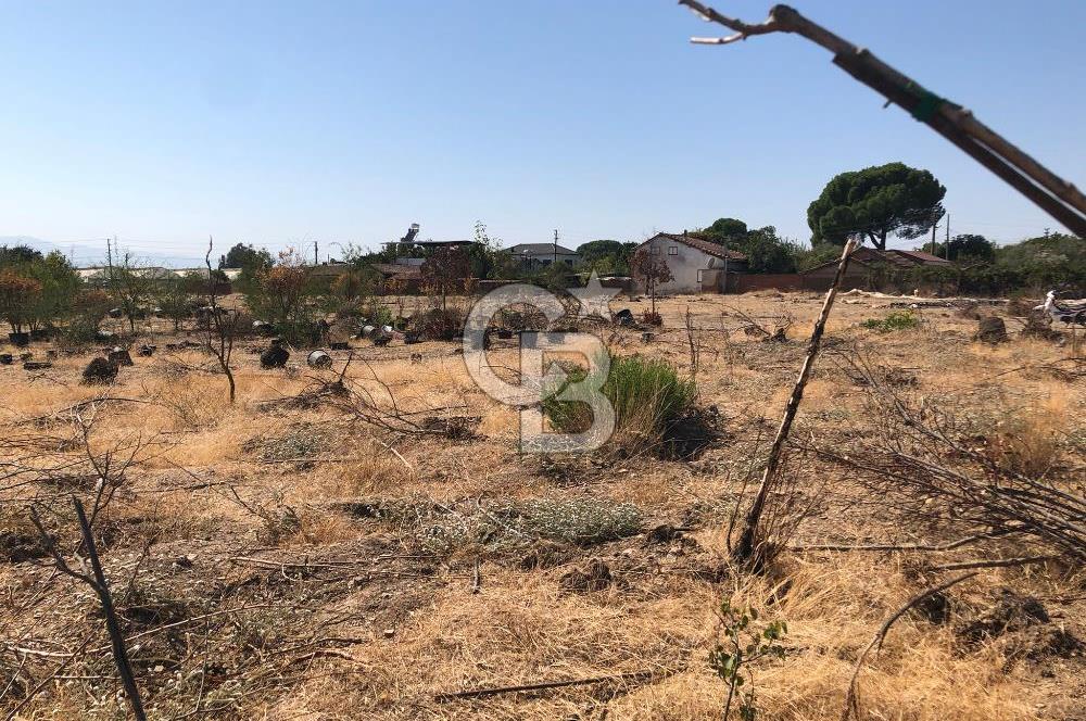 BAYINDIR ARIKBAŞI DA SATILIK 399 M2 İMARLI ARSA