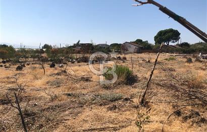 BAYINDIR ARIKBAŞI DA SATILIK 399 M2 İMARLI ARSA