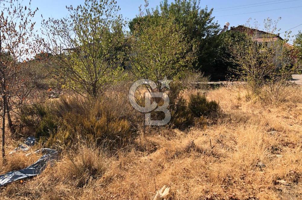 BAYINDIR ARIKBAŞI DA SATILIK 438 M2 İMARLI YOLA CEPHELİ ARSA