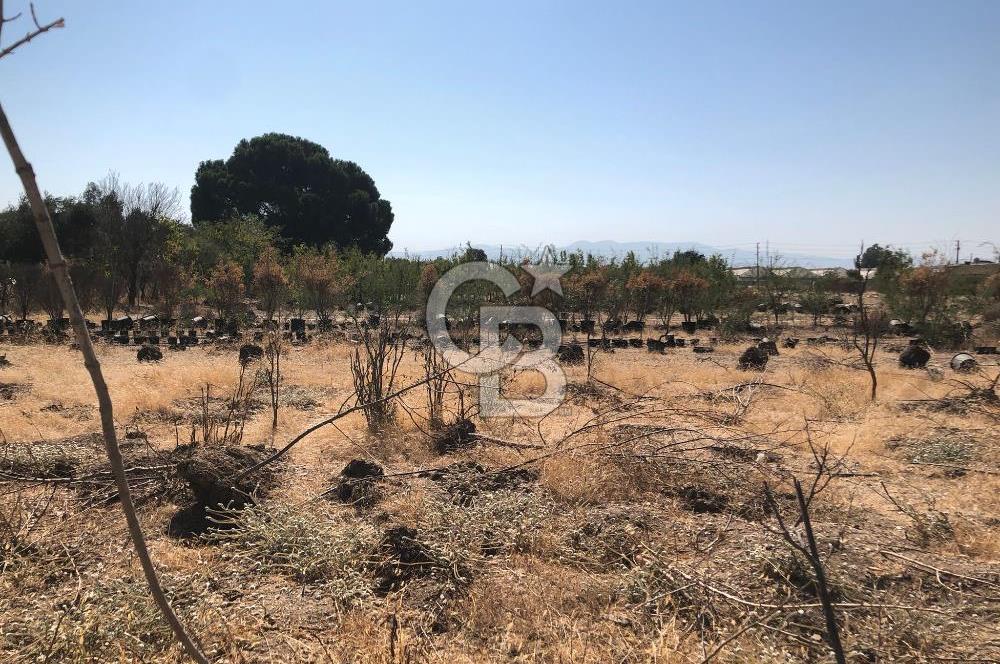 BAYINDIR ARIKBAŞI DA SATILIK 399 M2 İMARLI ARSA