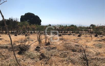 BAYINDIR ARIKBAŞI DA SATILIK 399 M2 İMARLI ARSA