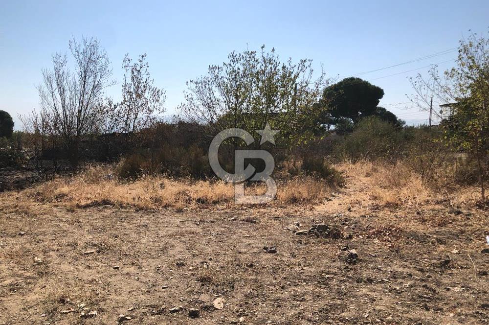 BAYINDIR ARIKBAŞI DA SATILIK 438 M2 İMARLI YOLA CEPHELİ ARSA