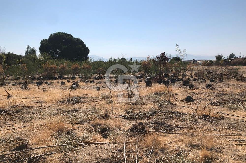 BAYINDIR ARIKBAŞI DA SATILIK 399 M2 İMARLI ARSA