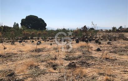 BAYINDIR ARIKBAŞI DA SATILIK 399 M2 İMARLI ARSA