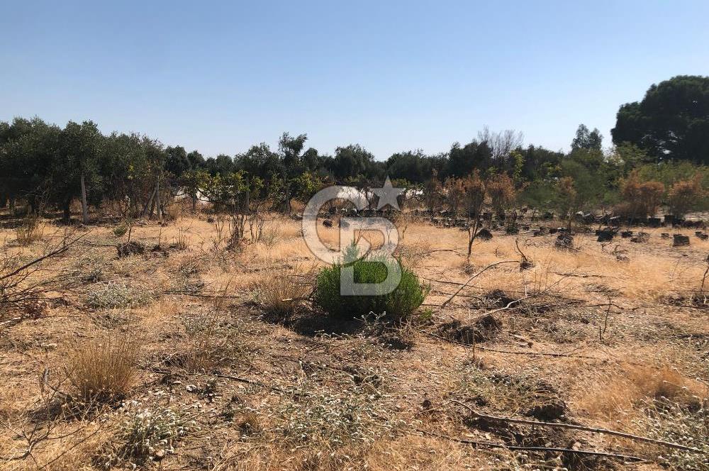 BAYINDIR ARIKBAŞI DA SATILIK 399 M2 İMARLI ARSA