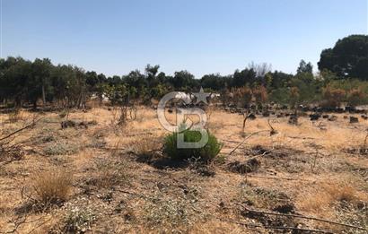 BAYINDIR ARIKBAŞI DA SATILIK 399 M2 İMARLI ARSA