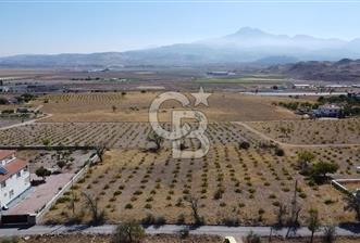 CB ANATOLİADAN NEVŞEHİR YOLU ÜZERİNDE GARİPÇE MAH.SİNDE BAĞ