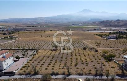 CB ANATOLİADAN NEVŞEHİR YOLU ÜZERİNDE GARİPÇE MAH.SİNDE BAĞ