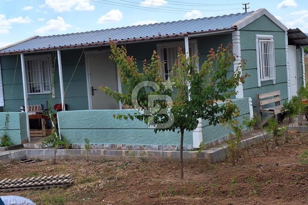 AHILI'DA ABONELERİ AÇIK AĞAÇLARI YETİŞMİŞ SATILIK EŞYALI BAHÇE